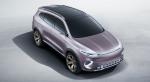 Denza Concept X 2019 года